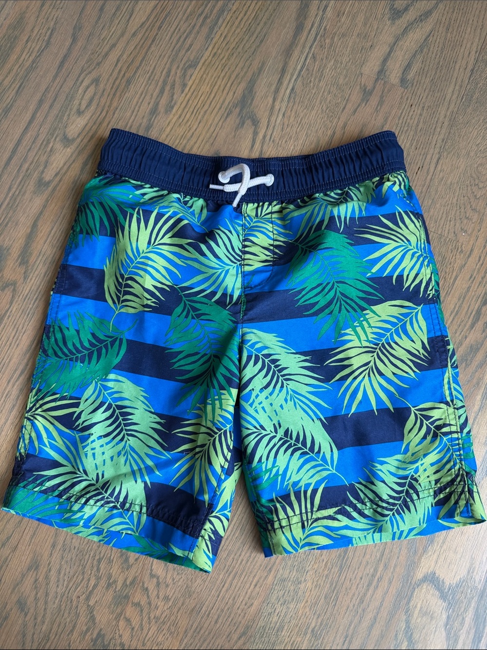 Lands' End Boys Blue & Green Tropical Stripe Swim Trunks